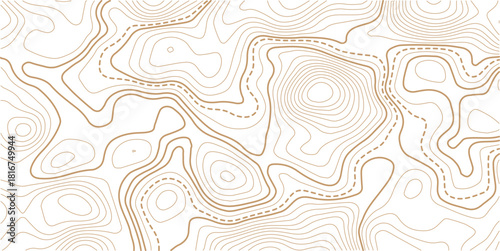 Abstract topo contour map on white background, Topographic map Topographic contour lines map seamless pattern.Topography background. Vector banner. 