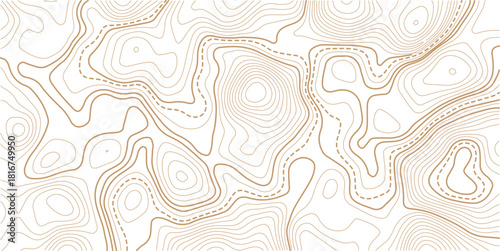 Abstract topo contour map on white background, Topographic map Topographic contour lines map seamless pattern.Topography background. Vector banner. 