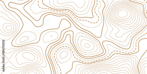 The golden on white contours topography stylized relief diagram line wave carve pattern background 
