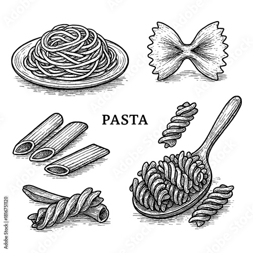 Vintage pasta ingredients engraving illustration set