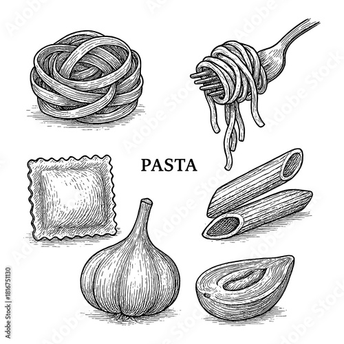 Vintage pasta ingredients engraving illustration set