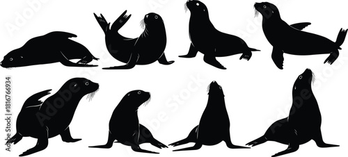 Sea lion silhouette illustration set, marine animal poses, black vector, aquatic wildlife, coastal theme, nature design, zoo artwork