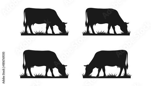 Black cow silhouette grazing vector illustration design art