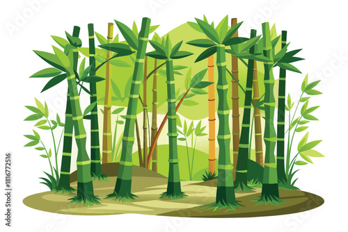 Vibrant green bamboo forest with lush foliage isolated on white background
