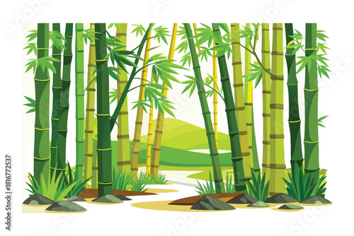 Vibrant green bamboo forest path with sunlit foliage isolated on white background
