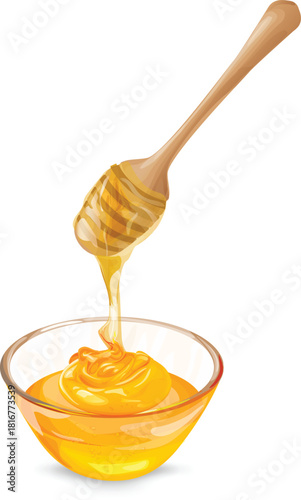 Honey dipper pouring honey into a glass bowl vector