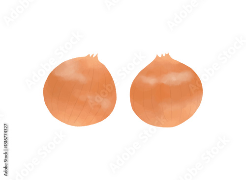 シンプルなたまねぎのイラスト