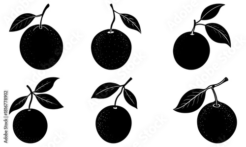 Delicious oranges on branch with leaves for fresh juice, healthy recipes, and vibrant summer designs, perfect for food blogs and wellness brands