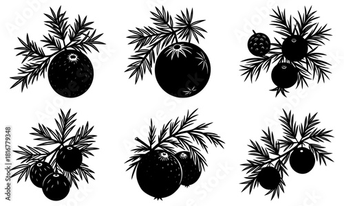 Festive juniper berry sprigs for winter holidays and crafts, a simple silhouette design perfect for cards, invitations, and seasonal decorations