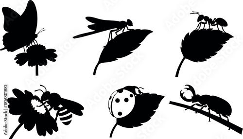 Insect silhouettes butterfly ladybug ant bee dragonfly beetle on plants vector illustration