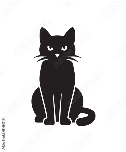 black cat on white background
