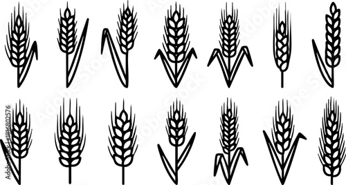 Wheat ears vector silhouette set simple black graphic collection farm agriculture design