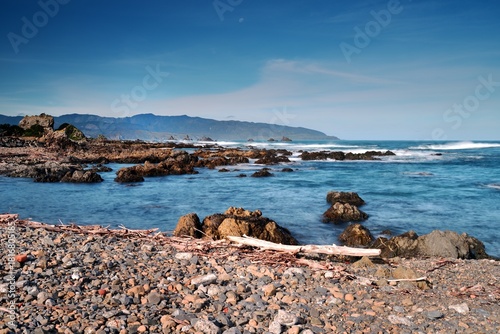 Storm debris on Owhiro bay after the storm