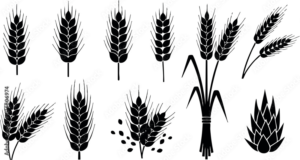 Obraz premium Wheat ears set black silhouettes different shapes and styles isolated on white background vector illustration