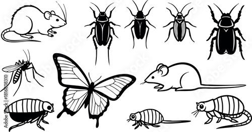 Collection of small insects rodents and butterfly vector illustration in black and white style