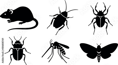 Black silhouette vector rat beetle mosquito moth insect collection illustration