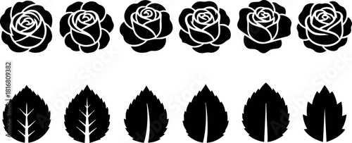 Rose flower and leaf silhouette vector set black isolated floral design elements natural shapes collection