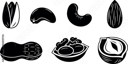 Various nuts collection including pistachio almond cashew peanut hazelnut vector illustration