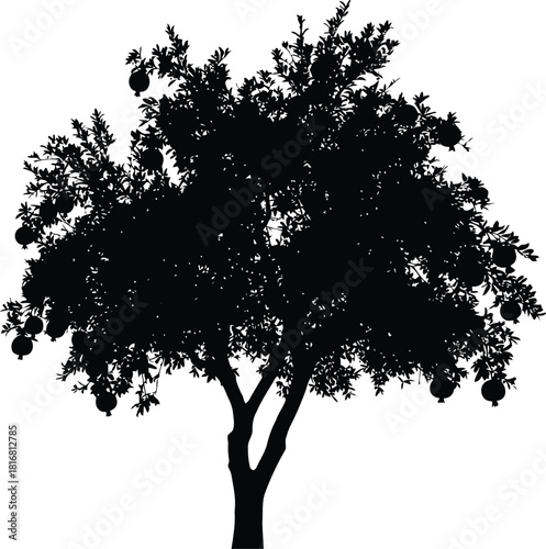 A detailed black silhouette of a mature pomegranate tree laden with ripe fruits, standing against a clean