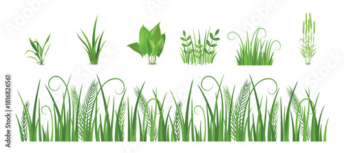 Set of flat grass elements. Landscaping design elements.