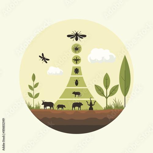 World Soil Day vector collection of urban soil layers, biodiversity, composting cycle, and regenerative farming infographics design set