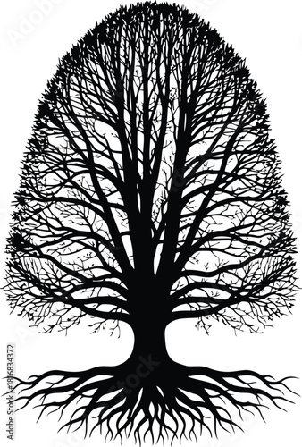 Black silhouette of a mature tree with a dense canopy of branches and an extensive root system, isolated on