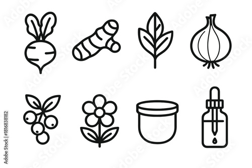 Botanical Pigment Icons. Botanical Pigments linear icon set. beetroot, turmeric root, indigo leaf, onion skin, berry, flower, pot, dropper bottle