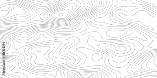 Abstract topographic map lines background. Vector seamless background, subtle pattern. topographic map background concept. Smooth Curved Topography Lines. Abstract Elevation Contour Background Vector.