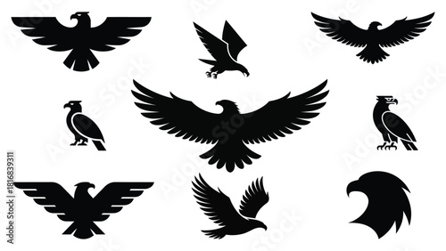 Eagle silhouette collection powerful bird icons for design and illustration
