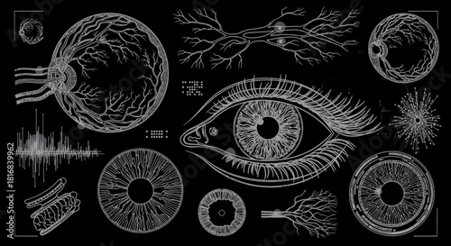 Detailed anatomical and conceptual illustrations of the human eye and vision system with neural network elements on a black background.