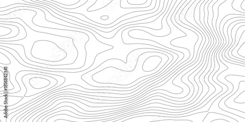 Smooth Curved Topography Lines. Abstract Elevation Contour Background Vector.