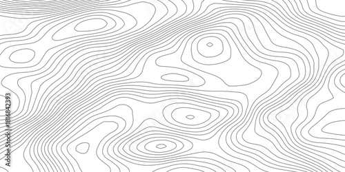 Smooth Curved Topography Lines. Abstract Elevation Contour Background Vector.