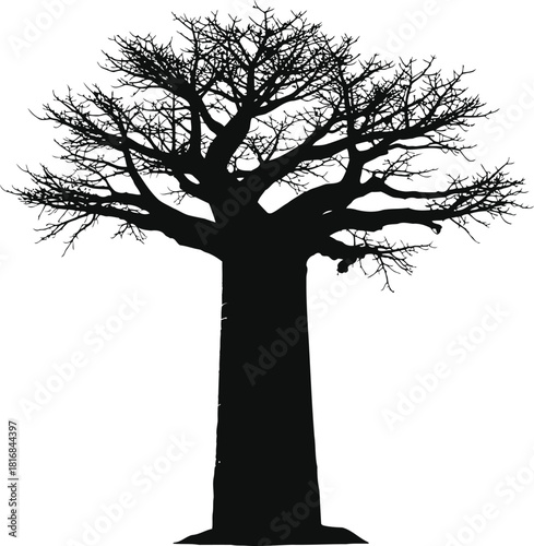 Black silhouette of a large baobab tree with its distinctive thick trunk and sparse branches, isolated on