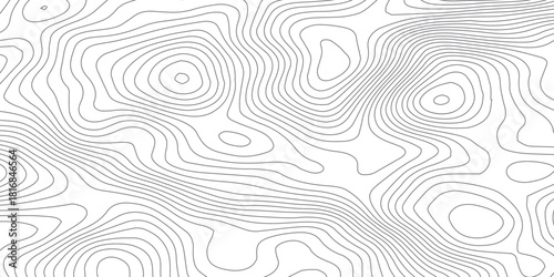 Organic Elevation Curves. Abstract Topographic Landscape Vector Background.