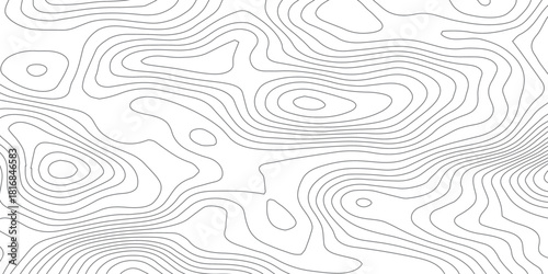Organic Elevation Curves. Abstract Topographic Landscape Vector Background.