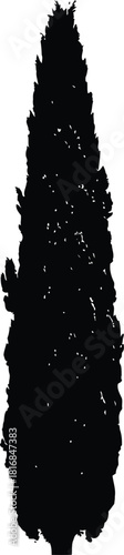 Tall, slender cypress tree silhouette, a classic evergreen conifer with dense foliage, isolated on