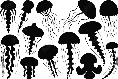Collection of black jellyfish silhouettes vector illustration showing various sea creatures isolated on white background for marine life design and nature symbols
