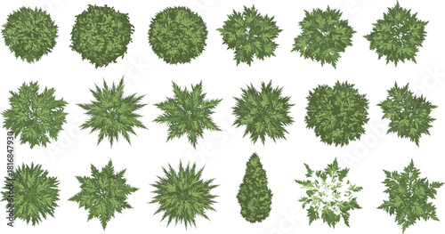Collection of green tree top view vector illustrations for landscape architecture design and garden planning isolated on white background for mapping and rendering projects.