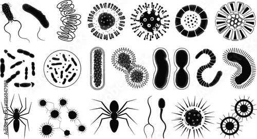 Collection of microorganisms, bacteria, viruses, and microscopic pathogen silhouettes ideal for science themes, biology illustrations, medical research graphics, infection concepts