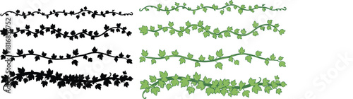 Ivy vine border illustration set featuring leafy decorative elements, floral dividers, plant ornament designs, natural greenery patterns, silhouette and color variations for creative artwork.