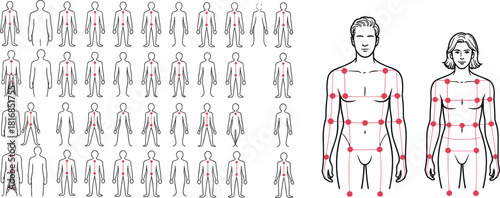 Set of human body outlines with red skeletal joint points for animation rigging and motion capture reference isolated on white background for technical design.