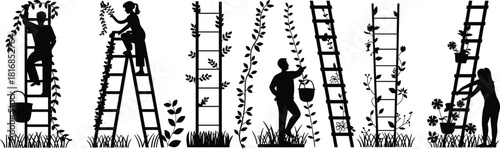 Vector collection of gardeners on ladders tending climbing plants and flowers, featuring detailed silhouettes for gardening illustrations, nature scenes, horticulture designs, and outdoor projects.