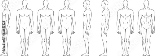 Vector line art set of human male body anatomy standing poses showing front and side views for character design reference and medical study diagrams.