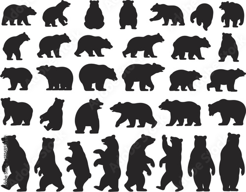 Vector set of bear silhouettes featuring walking, standing, and wildlife poses for nature illustrations, forest animal designs, adventure themes, outdoor graphics, and decoration projects.