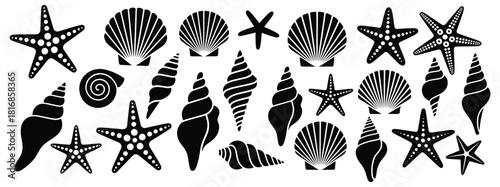 Seashells and starfish silhouette vector set, Hand drawn seashells and starfish collection, Black and white vector icons of seashells and starfishes, vector illustration