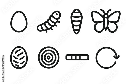 Insect Life Cycle Icons. Life Cycles Stages linear icon set: egg, larva, pupa, adult insect, cocoon, growth ring, timeline bar, cycle arrow