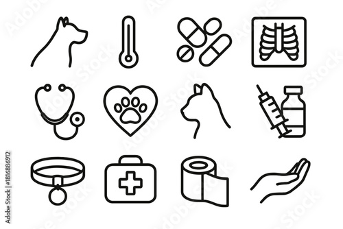 Pet Care Icons. Animal Health Clinic linear icon set: pet silhouette, thermometer, pills, x-ray, stethoscope, heart paw, dog collar, cat outline, vaccine vial, doctor bag, bandage