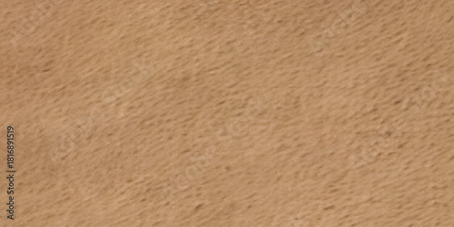Concrete - stone grunge texture, natural brown sand, grainy soil - dust - earth shade, nature interior background