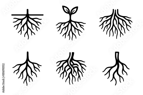 Roots and Soil Icons. Roots linear icon set: branching root line, soil layer, grounded sprig, root cluster, earthy knot, natural anchor