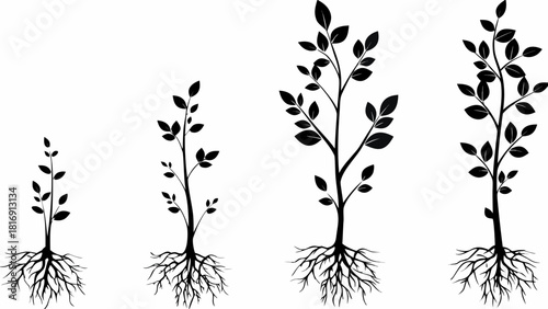 Four stages of tree growth showing business development and personal evolution, scalable vector graphic silhouette, representing progress and investment growth